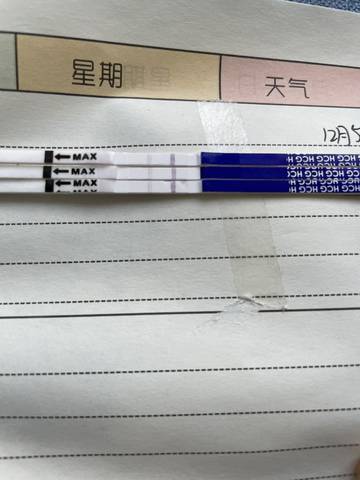 journal_insert_pic_1674382862