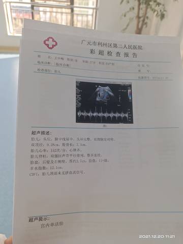 journal_insert_pic_1684140735