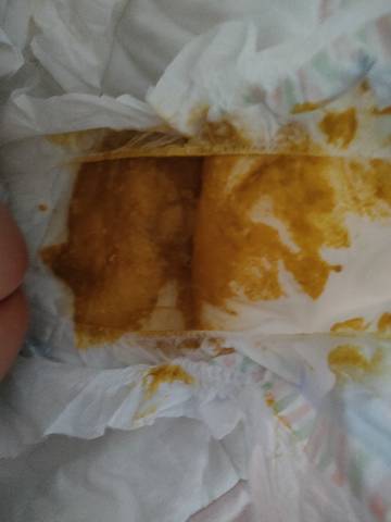 journal_insert_pic_1719545125