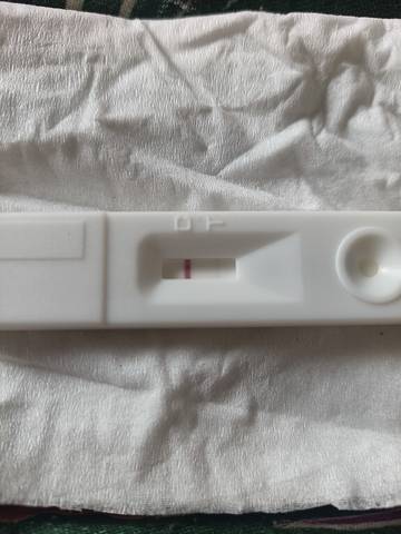 journal_insert_pic_1685798373