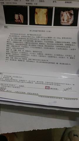 journal_insert_pic_1687172555