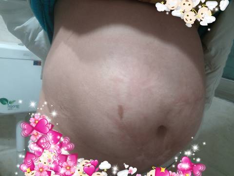 journal_insert_pic_1688583877