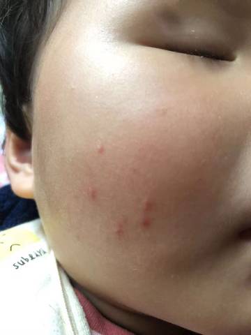 journal_insert_pic_1680986509