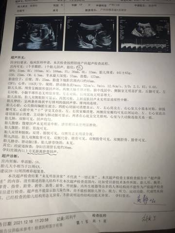 journal_insert_pic_1681150912