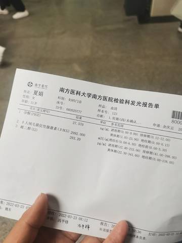 journal_insert_pic_1740821713