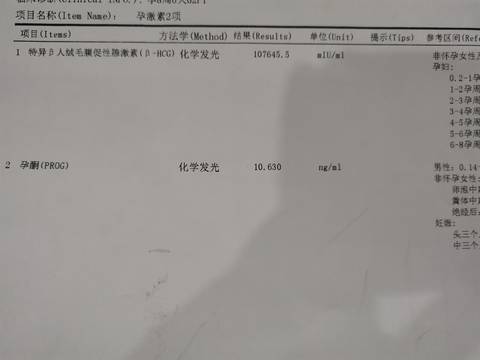 journal_insert_pic_1686351243