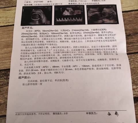 journal_insert_pic_1675558582