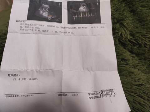 journal_insert_pic_1679203338