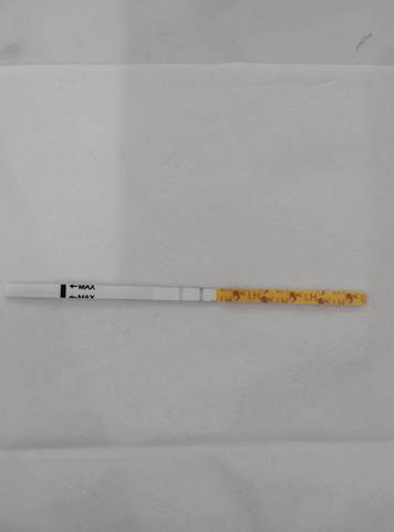 journal_insert_pic_1679933805