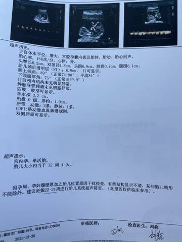 journal_insert_pic_1682942119