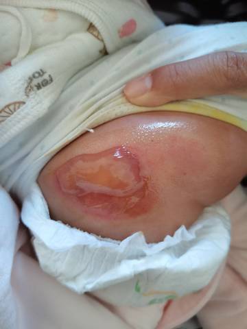 journal_insert_pic_1673052732