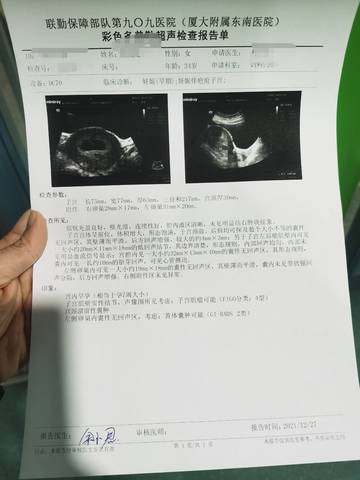 journal_insert_pic_1687296863