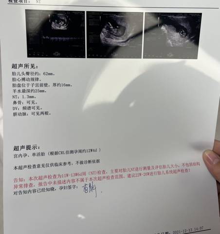 journal_insert_pic_1681054427