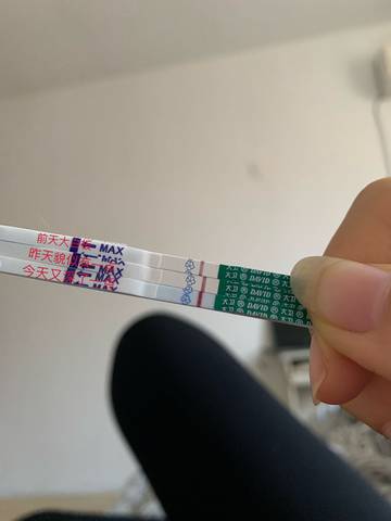 journal_insert_pic_1673529534