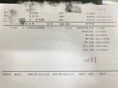 journal_insert_pic_1685338771