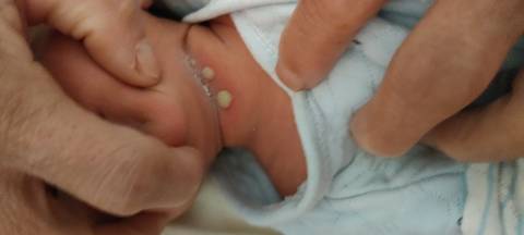 journal_insert_pic_1675982094