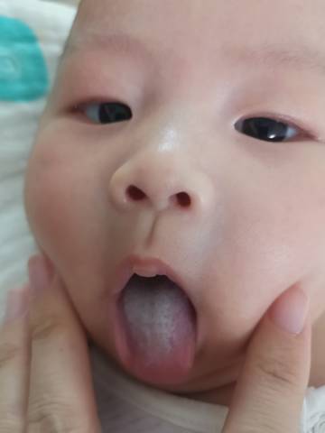 journal_insert_pic_1690069361