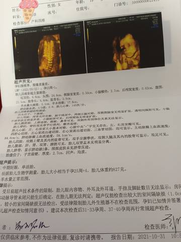 journal_insert_pic_1676920869