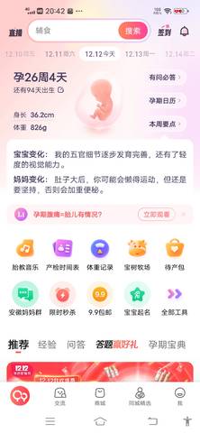 journal_insert_pic_1678679883