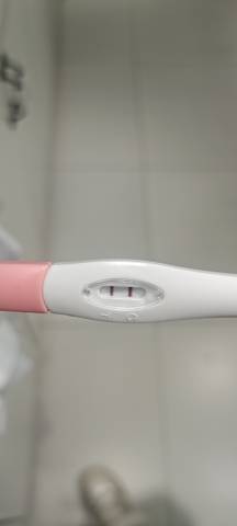 journal_insert_pic_1674183497