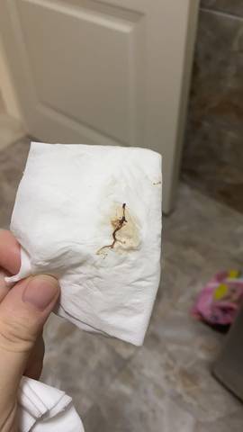 journal_insert_pic_1684813552