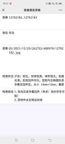 journal_insert_pic_1688217014
