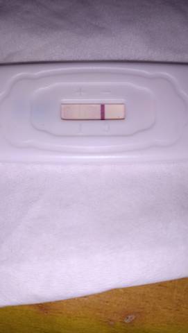 journal_insert_pic_1685004533