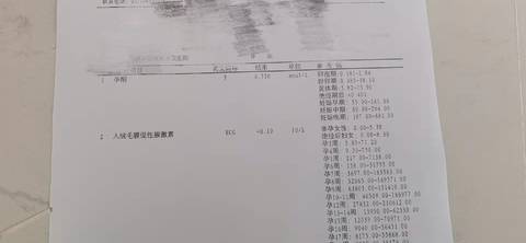 journal_insert_pic_1685350557