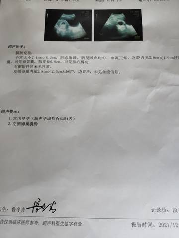 journal_insert_pic_1688969075