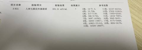 journal_insert_pic_1683635117