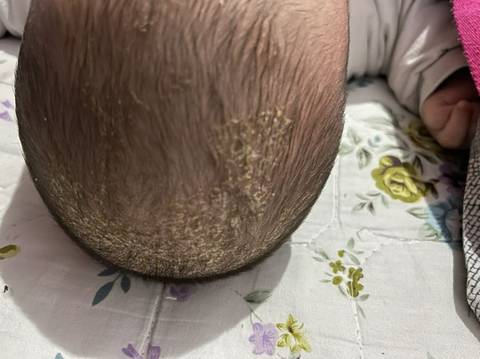 journal_insert_pic_1686591575