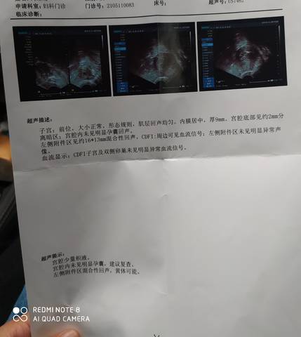journal_insert_pic_1686602285