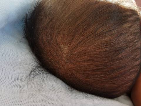 journal_insert_pic_1689539930