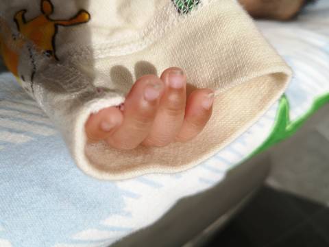 journal_insert_pic_1673559422