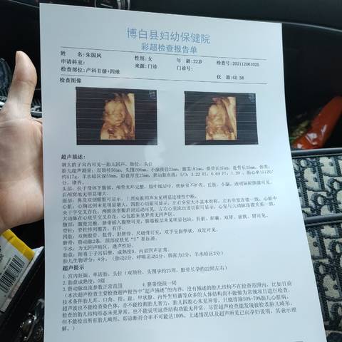 journal_insert_pic_1690420218