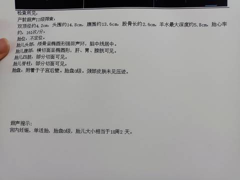 journal_insert_pic_1674738785
