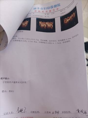 journal_insert_pic_1684815167