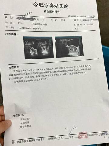 journal_insert_pic_1685980473
