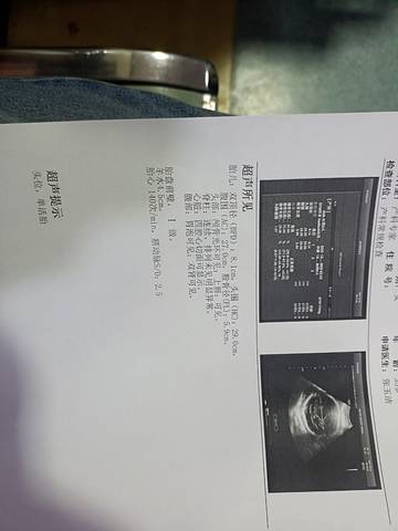 journal_insert_pic_1686174964