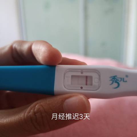 journal_insert_pic_1683061600