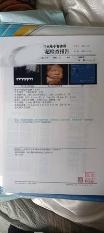 journal_insert_pic_1684170080