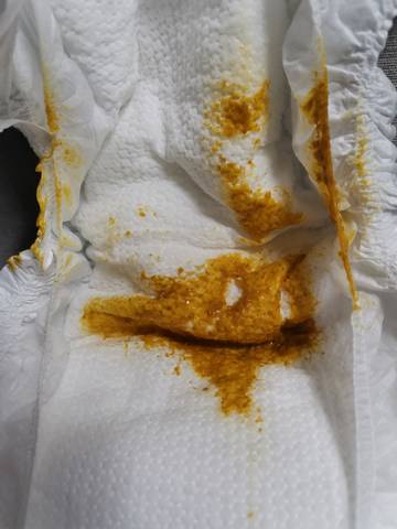 journal_insert_pic_1678092779