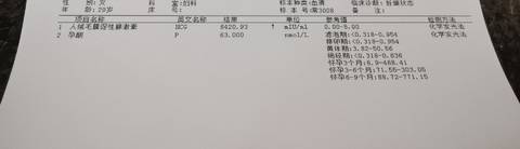 journal_insert_pic_1689641210