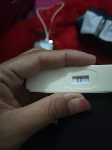 journal_insert_pic_1678883959