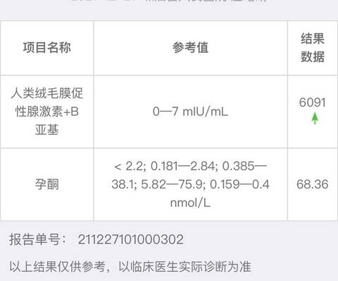 journal_insert_pic_1688807984