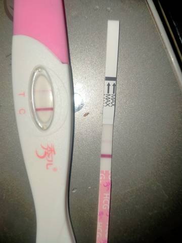 journal_insert_pic_1675874213