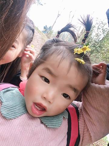 journal_insert_pic_1682918607