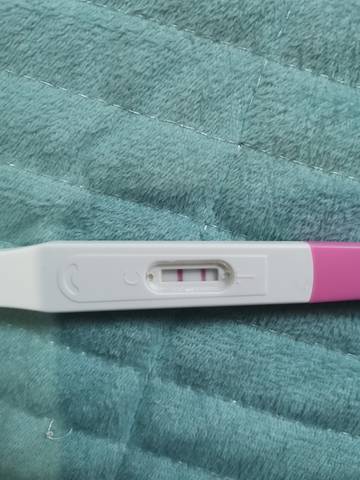 journal_insert_pic_1681356102