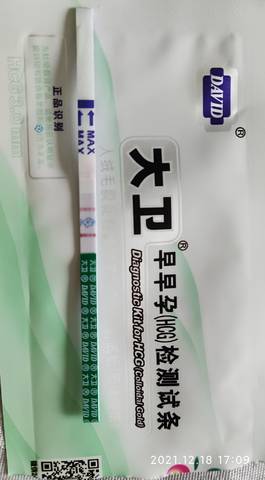 journal_insert_pic_1682077580