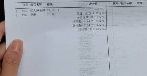 journal_insert_pic_1687922480